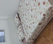 3 Cho thuê căn hộ mini 60m, 3 ngủ, 1 khách, bếp, 1 vệ sinh ngõ 117 trần cung