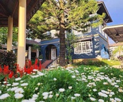 4 Cho thuê villa sân vườn hùng vương phường 9 tp đà lạt 30tr/tháng 4 Cho thuê villa sân vườn hùng vương phường 9 tp đà lạt 30tr/tháng