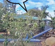 2 Đất rẫy 2 hecta trồng cà phê, tiêu, sầu riêng xen canh đăk lăk
