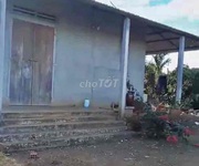 3 Đất rẫy 2 hecta trồng cà phê, tiêu, sầu riêng xen canh đăk lăk