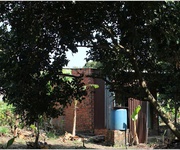 3 Bán đất vườn 750tr diện tích 2500m2 3 Bán đất vườn 750tr diện tích 2500m2