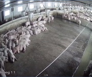 2 Chính chủ cần bán trang trại đày đủ pháp lý