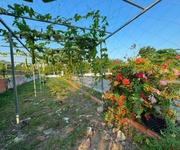 5 Nhà vườn tổng dt 1400m2 đất lúa xã Phước Lâm, huyện Cần Giuộc 2pn 1wc giá 5,5 tỷ 5 Nhà vườn tổng dt 1400m2 đất lúa xã Phước Lâm, huyện Cần Giuộc 2pn 1wc giá 5,5 tỷ