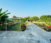 8 Nhà vườn tổng dt 1400m2 đất lúa xã Phước Lâm, huyện Cần Giuộc 2pn 1wc giá 5,5 tỷ 8 Nhà vườn tổng dt 1400m2 đất lúa xã Phước Lâm, huyện Cần Giuộc 2pn 1wc giá 5,5 tỷ