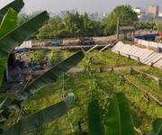 7 Nhà cho thuê ở khu vực đẹp, tiềm năng.