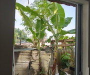 6 Nhà cho thuê ở khu vực đẹp, tiềm năng.