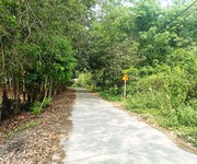 1 Đất 1/ đường nguyễn thị ngọt - 3291m2 - 34x107 - 200m2 thổ cư - xã phú hòa đông - củ chi 1 Đất 1/ đường nguyễn thị ngọt - 3291m2 - 34x107 - 200m2 thổ cư - xã phú hòa đông - củ chi