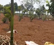 2 Bán 6.466,3m2 đất, mt 55m làm nhà xưởng, nhà vườn, nghỉ dưỡng thôn 2 Ba Trại giá 805 nghìn/m2 2 Bán 6.466,3m2 đất, mt 55m làm nhà xưởng, nhà vườn, nghỉ dưỡng thôn 2 Ba Trại giá 805 nghìn/m2