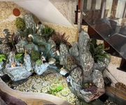 3 Cho thuê nhà làm văn phòng/ lớp học