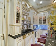 1 Chính chủ bán biệt thự sang trọng Nguyễn Đình Chiểu Q.1