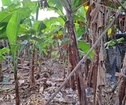 2 Chính chủ cần bán gấp lô đất 1/đường bình mỹ - 147m2 5 29.5 khu dân cư yên tĩnh xây dựng 2 Chính chủ cần bán gấp lô đất 1/đường bình mỹ - 147m2 5 29.5 khu dân cư yên tĩnh xây dựng