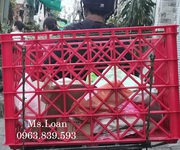 12 Sóng nhựa shipper giao hàng xe máy, sóng nhựa chở hàng, rổ nhựa công nghiệp.