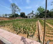 4 Nhanh tay sở hữu lô đất đẹp tại khu phân lô kiểu mẫu, tiên chu, xã bắc sơn, sóc sơn 4 Nhanh tay sở hữu lô đất đẹp tại khu phân lô kiểu mẫu, tiên chu, xã bắc sơn, sóc sơn