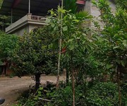 2 Bán nhanh đất đẹp chính chủ- vị trí đẹp 1200m2 -quang tiến, hòa bình 2 Bán nhanh đất đẹp chính chủ- vị trí đẹp 1200m2 -quang tiến, hòa bình