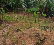 3 Bán nhanh đất đẹp chính chủ- vị trí đẹp 1200m2 -quang tiến, hòa bình 3 Bán nhanh đất đẹp chính chủ- vị trí đẹp 1200m2 -quang tiến, hòa bình