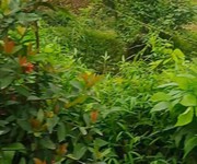 4 Bán nhanh đất đẹp chính chủ- vị trí đẹp 1200m2 -quang tiến, hòa bình 4 Bán nhanh đất đẹp chính chủ- vị trí đẹp 1200m2 -quang tiến, hòa bình