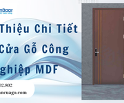 Giới Thiệu Chi Tiết Về Cửa Gỗ Công Nghiệp MDF