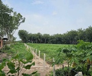 Chính chủ cần bán lô đất tại minh tân -dầu tiếng-bình dương