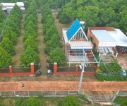 Bán gấp đất ở thổ cư 3032m2 - tân phước khánh, tân uyên, bình dương - giá 550 triệu - sổ hồng chính