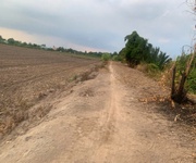 5585m2 đất vườn xã Lương Hòa, huyện Bến Lức giá 4,6 tỷ