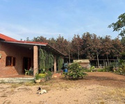 Cần bán gấp căn nhà hơn 2290m2 có thổ cư giá chỉ 450tr tại chủ đang cần tiền quan tâm thì alo em