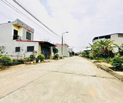 Bán đất phân lô tại Kim Long, Tam Dương, Vĩnh Phúc. Giá chỉ 1.78 tỷ 115m2