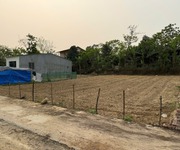 Bán đất tại Thanh Vân, Tam Dương, Vĩnh Phúc