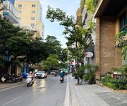 Bán nhà gần mặt phố liễu giai - đào tấn - linh lang 136m  - giá 48 tỷ