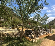 Bán 1032m2 đất view đẹp mộc châu  gần trung tâm, ô tô tận nơi, giá chỉ 1ty6