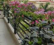 Bán căn hộ 150m2. chung cư cao cấp đốc ngữ, ba đình