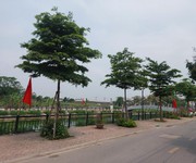Tài chính hơn 3 tỷ mà 50m2 -  ô tô  - ngõ cực nông  - tiện ích đủ cả ở gia lâm.