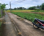 Chính chủ bán lô đất đẹp tại xã Phước Hậu, huyện Cần Giuộc.