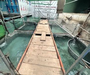 2 Nhà mt giá trong hẻm 261m , nở hậu, đ.10m   an phú đông q12
