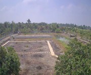 2 Quá rẻ đất 0.5ha, nở hậu, đ.4m   trường đông tn