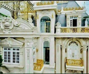 Biệt thự dát vàng   kiệt tác kiến trúc châu âu ngay trung tâm quận 1- nguyễn đình chiểu.
