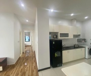 Cho thuê căn hộ 1 ngủ tách bếp Vin Lê Thánh Tông