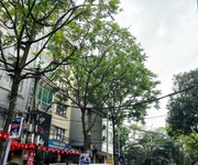 Bán nhà mặt phố hoàng hoa thám, 125m mt siêu đẹp, giá chỉ 44 tỷ