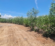 Bán 2000m2 đất thổ cư hẻm lý thường kiệt, thị xã lagi giá đầu tư