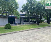 Bán nhà xưởng 1.320 m2 xưởng Khu công nghiệp Việt Hương 2, Bến Cát, Bình Dương
