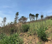 Cần bán 5000m2 đất ôm mặt tiền đường nhựa thế dương view đồi siêu đẹp.