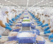 Bán nhà máy chế biến thuỷ hải sản tại tiền giang, đang hoạt động và đủ tiêu chuẩn xuất khẩu