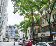 Bán nhà mặt phố phan kế bính, kd nhà hàng nhật, vị trí đẹp, vỉa hè rộng, 80m chỉ 33 tỷ