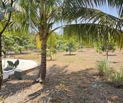 Siêu phẩm đất vườn long thuận   long phước, thủ đức