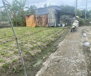Bán đất thổ vườn Tân Liễu, Hưng Long, Bình Chánh 2300m