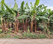 Cần bán lô đất sào phú vinh 29 x 40   1000m2 đất như hình.