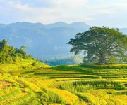 Kẹt tiền bán gấp mảnh đất du lịch nghỉ dưỡng tại xóm mừng, hợp phong, cao phong, hòa bình