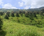 1 Bán vườn sầu riêng Xã Lộc Bắc, Bảo lâm 73ha