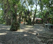 1 Quán cafe view vườn cổ thụ 1100m2, mt đường nguyễn chí thanh,trung tâm dương đông