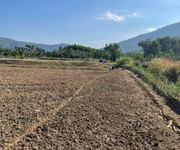 2 Đất cần giờ cần thanh lí gấp
