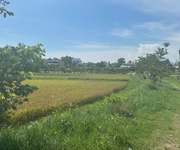 Chỉ 610 triệu/ sào đất tân bình, thị xã lagi cách biển 2km